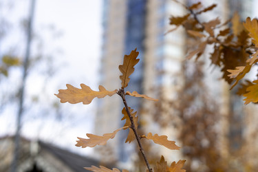 Similar image 21668869