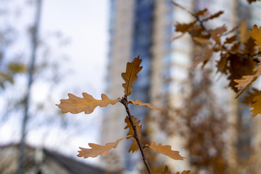 Similar image 21668870