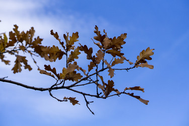 Similar image 21668877