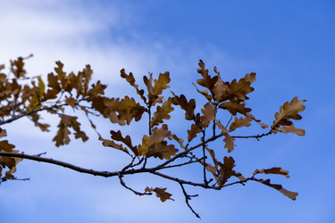 Similar image 21668879