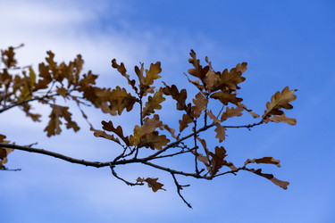 Similar image 21668880