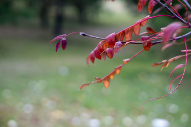 Similar image 21668881