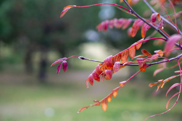 Similar image 21668883