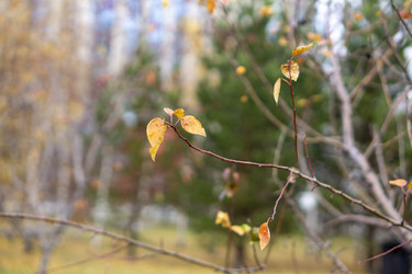 Similar image 21668884