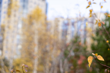 Similar image 21668885