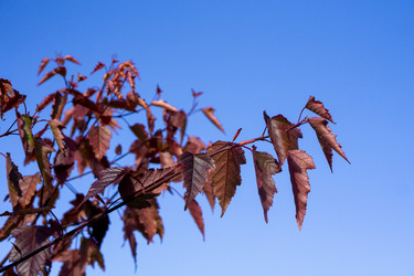 Similar image 21668887