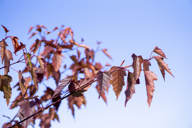 Similar image 21668888