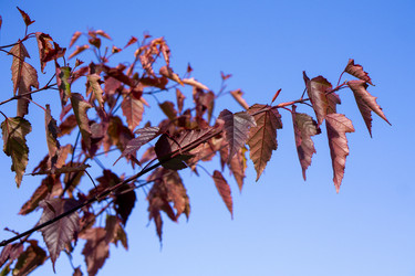 Similar image 21668889