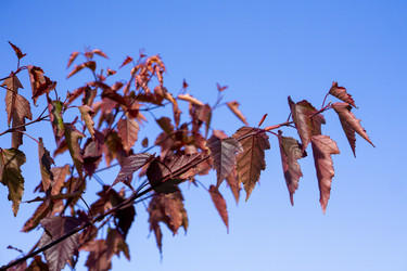 Similar image 21668890