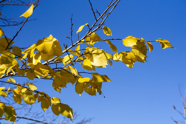 Similar image 21668891