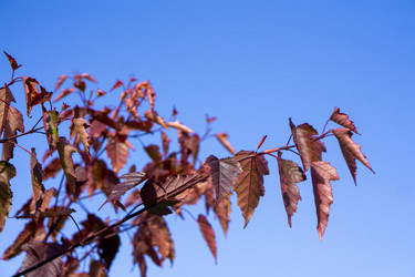 Similar image 21668892