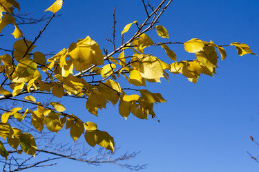 Similar image 21668893