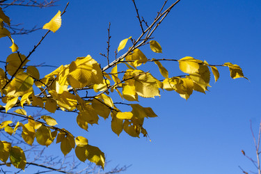 Similar image 21668894