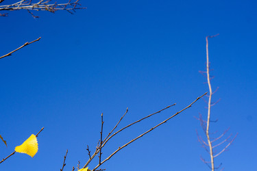 Similar image 21668895