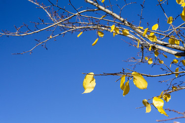 Similar image 21668896