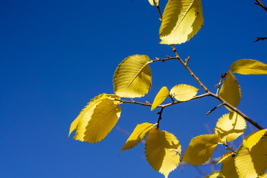 Similar image 21668898