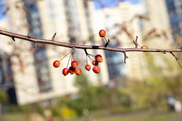 Similar image 21668901