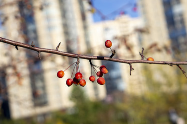 Similar image 21668902