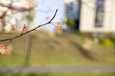 Similar image 21668904