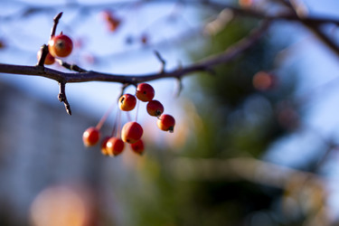 Similar image 21668906