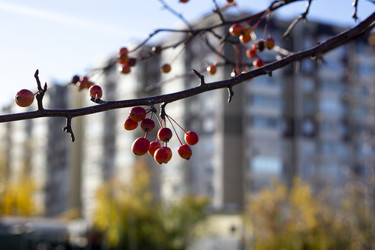 Similar image 21668907