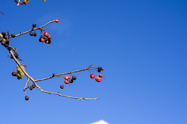 Similar image 21668908