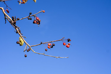 Similar image 21668909