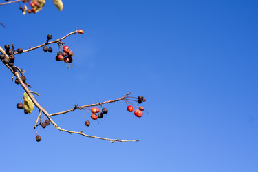 Similar image 21668910