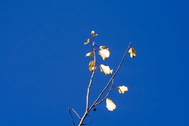 Similar image 21668912