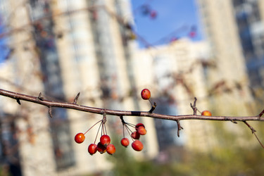 Similar image 21668914