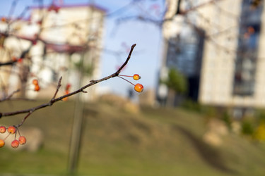 Similar image 21668915