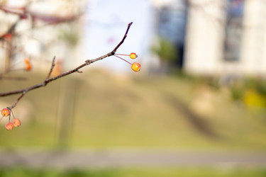 Similar image 21668916