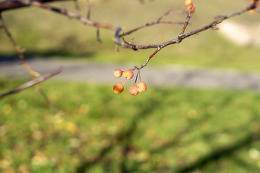 Similar image 21668917