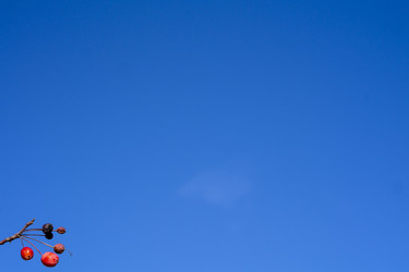 Similar image 21668918