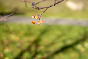 Similar image 21668919