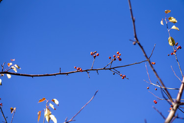 Similar image 21668920