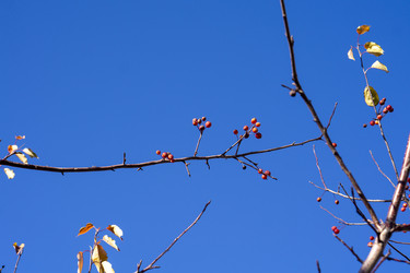 Similar image 21668921