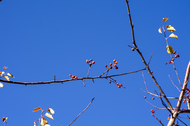 Similar image 21668922