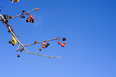 Similar image 21668923