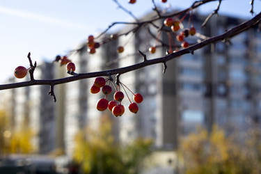 Similar image 21668925