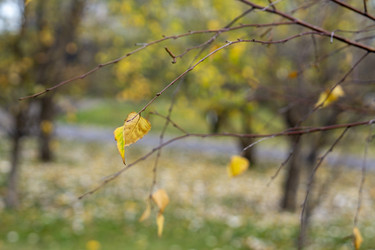 Similar image 21668926