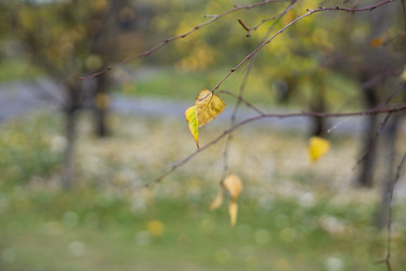 Similar image 21668927