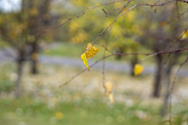 Similar image 21668928