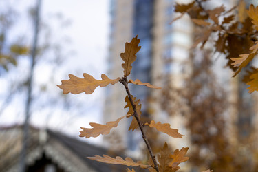 Similar image 21668929