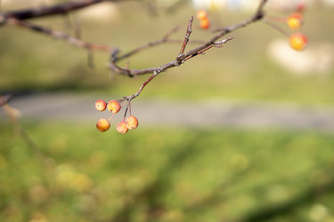 Similar image 21668932