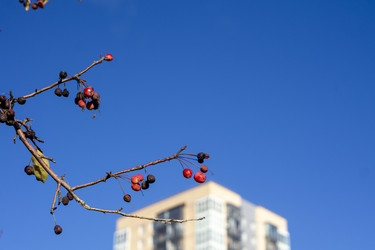 Similar image 21668933