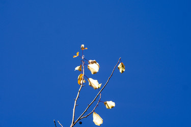 Similar image 21668935