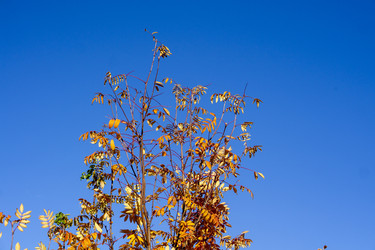 Similar image 21668939