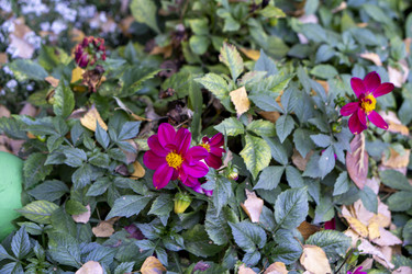 Similar image 21668940