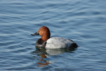 Similar image 21667234